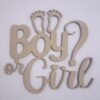 Letrero Boy Or Girl Baby Shower Madera Mdf